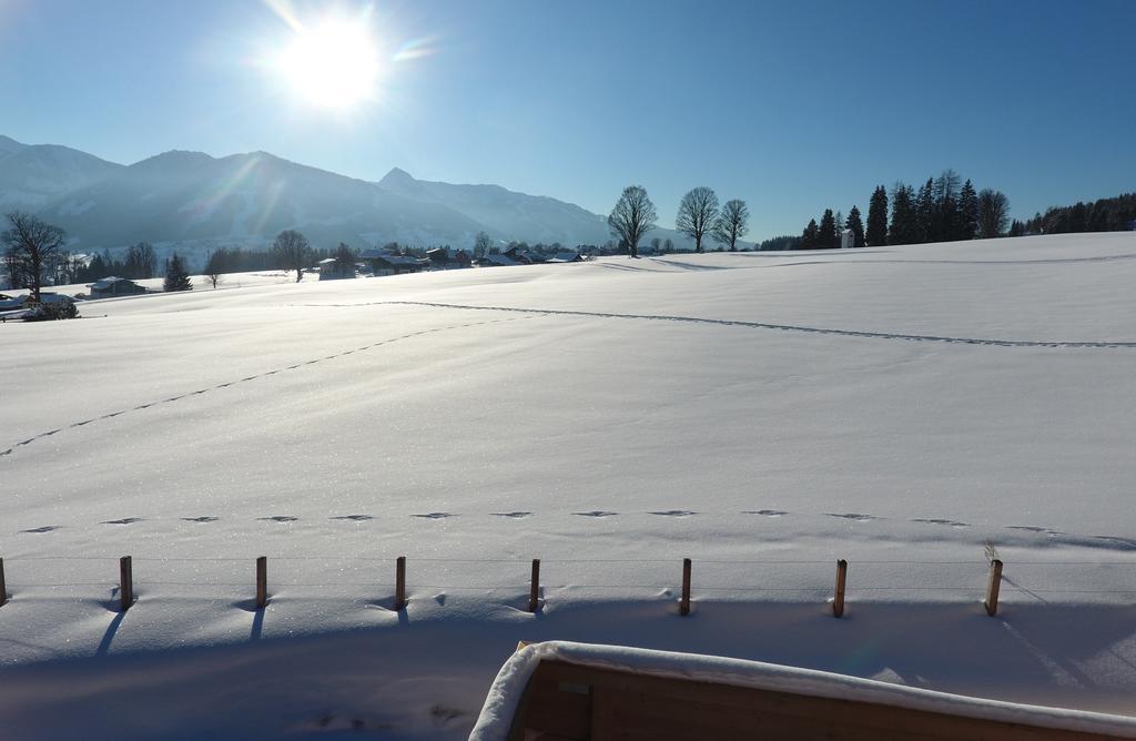 Chalet Findeisen Ramsau am Dachstein Exterior photo