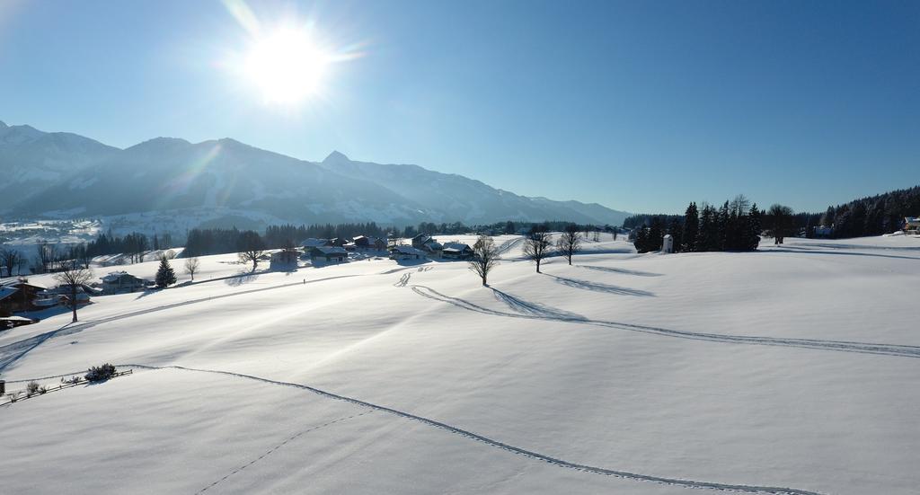 Chalet Findeisen Ramsau am Dachstein Exterior photo